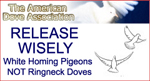 Pigeons, not doves