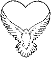 white dove drawing